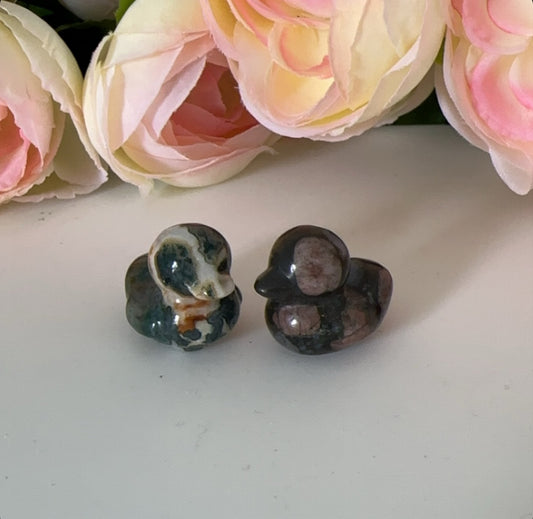 Mini Duck