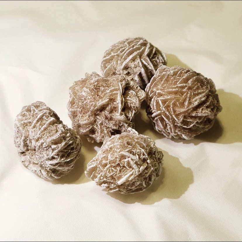 Desert Rose