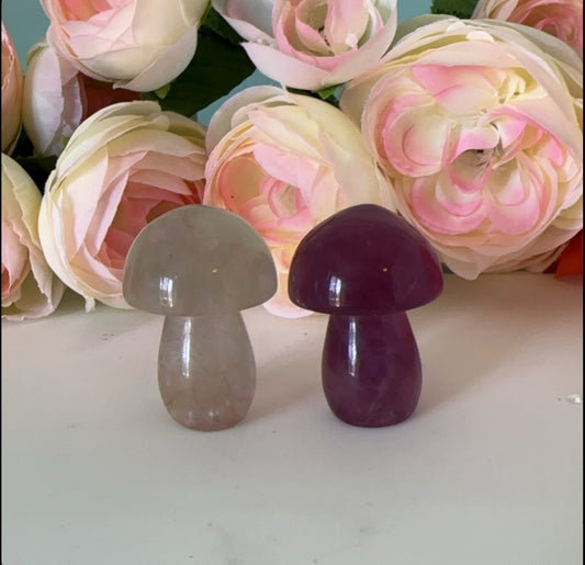 2” Fluorite Mushroom