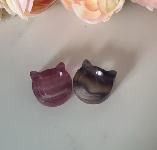 Mini Fluorite Kitty Bowl