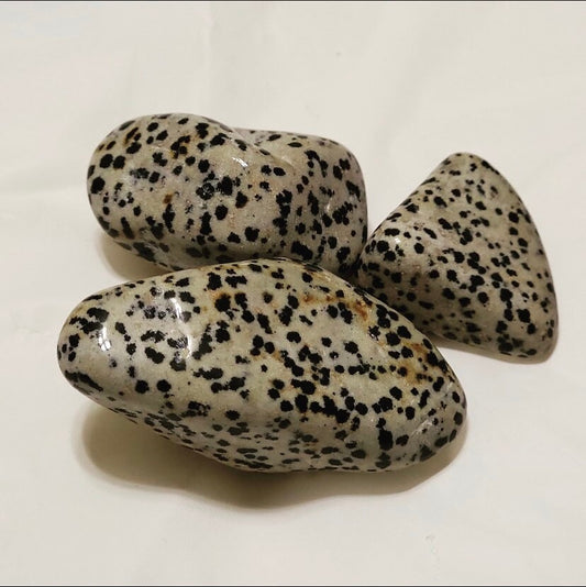 Large Dalmatian Jasper Tumble