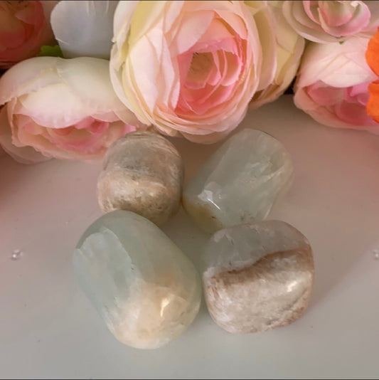 Large Caribbean Calcite Tumble